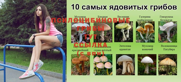 альфа пвп Пересвет