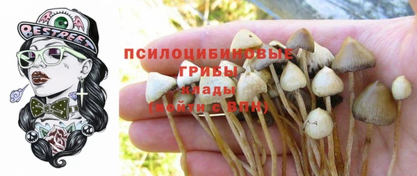 стаф Остров